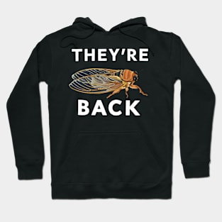 They're Back Cicada Invasion 2024 Cicada Brood Cicada Nymph Hoodie